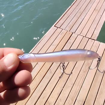 Fujin Fishing Fujin Z Wolker Maket Yem