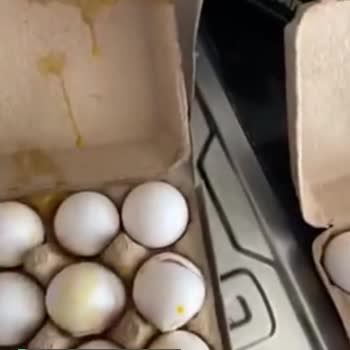 Migros Kırık Yumurta Gelen Yumurtalar