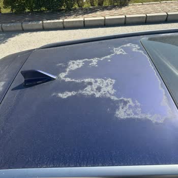 Renault Markası Arkasında Durmuyor! Mağdurum