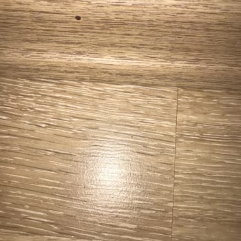 Şok Marketler Şok Enjoy Marka Kuş Yemi Kurtlu Çıktı.