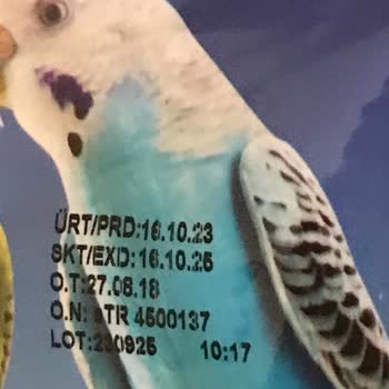 Şok Marketler Şok Enjoy Marka Kuş Yemi Kurtlu Çıktı.