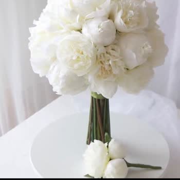 Gelincicegi_flora (Instagram) Gelin Çiçeğinin Görselden Başka Görünmesi