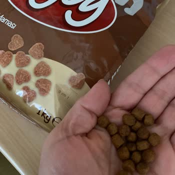 Carrefour SA Sahte Kedi Maması Satıyor