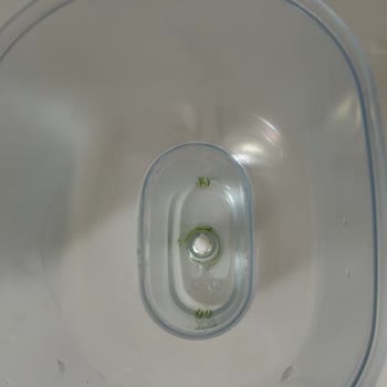 Brita Aluna XL Yosunlaşma