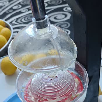 Sinbo Narenciye Sıkacağından Beklenen Performansı Alamadım
