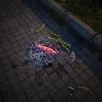 Denizli Büyükşehir Belediyesi Park Çok Bakımsız Ve Kirli