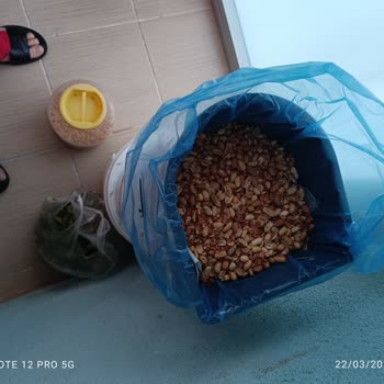 Bayat Ürün İade Almayan A101