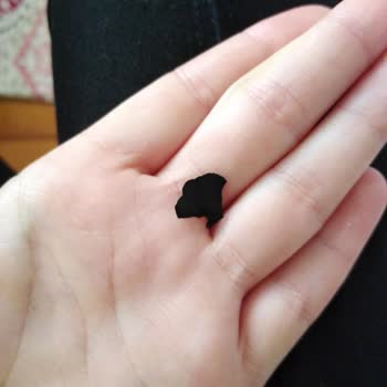 Yudum Salça İçindeki Yabancı Cisim