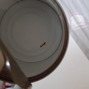 Super Fresh Marka Mısır Konserve Kutusu Paslı