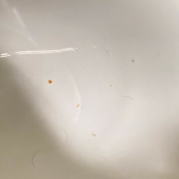 Tavuk Dünyası Hayal Kırıklığı Yaratan Restoran Deneyimi