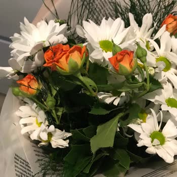 ÇiçekSepeti Hayal Kırıklığına Uğratan Çiçek Teslimatı