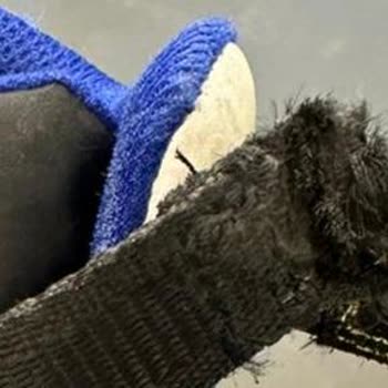 Decathlon 3 Ayda Yırtılan 1500 TL Lik Ayakkabı