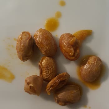 Reis Gıda Reis Markasının Pişmeyen Barbunyası