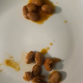Reis Gıda Reis Markasının Pişmeyen Barbunyası