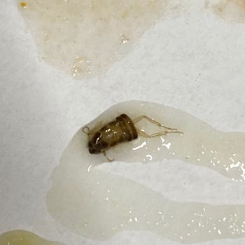 Anatolium Bursa AVM Lütfen İlgileniniz!? ;:'X