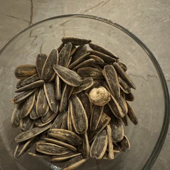 A101 Çekirdekten Salyangoz Çıktı