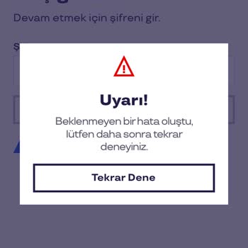 Pluxee Uygulama Giriş Sorunu