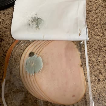 Maret Hindi Füme Küflü Çıktı