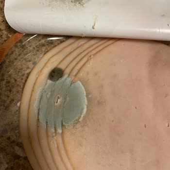 Maret Hindi Füme Küflü Çıktı