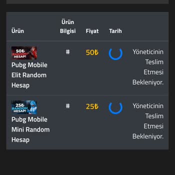 Oyun Hanem Random Hesap Giriş Şifrelerini Vermedi!