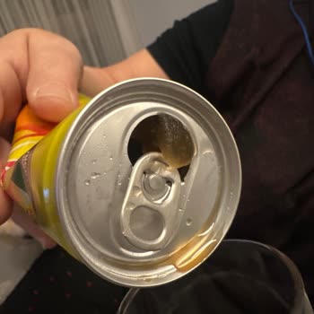 Lipton İce Tea İçindeki Nedir Anlamadım?