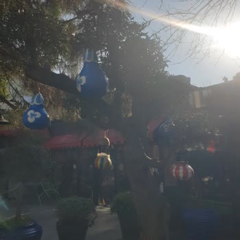 TÜRKSAT Kablo Net İnternet Kesintisi