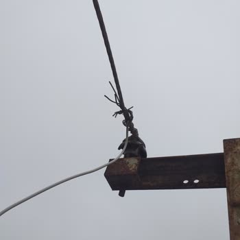 Çoruh Edaş Trafo Ve Elektrik Yenilenmesi