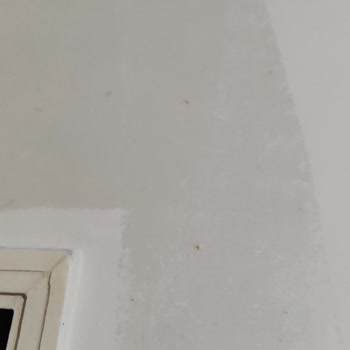 Koçtaş'tan Boya Aldım Rezil Oldum