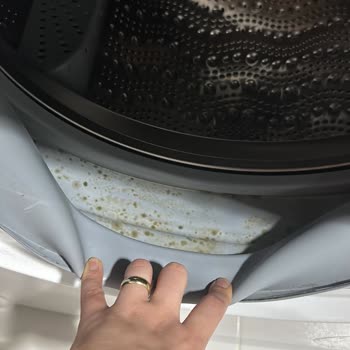 Siemens Çamaşır Makinesi İç Lastik Küfü!