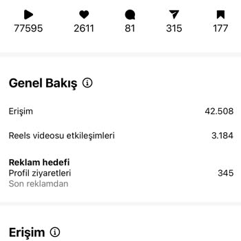 Instagram Beğeni Düşmesi