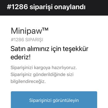 Minipaw Sitesinden Aldığım Oyuncak 3 Haftadır Elime Geçmedi