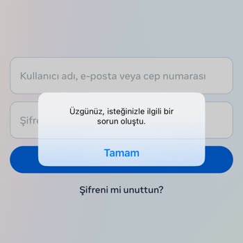 Instagram'a Hiçbir Şekilde Giriş Yapamıyorum
