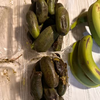 Hepsiburada Elit Agro İsimli Satıcıdan Avokado Alacaklara Uyarı