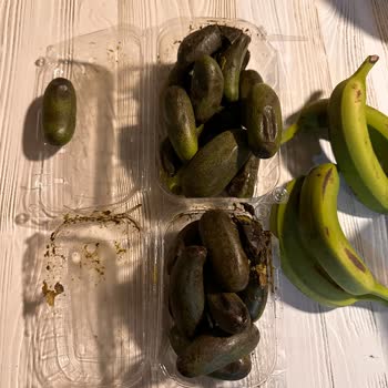 Hepsiburada Elit Agro İsimli Satıcıdan Avokado Alacaklara Uyarı