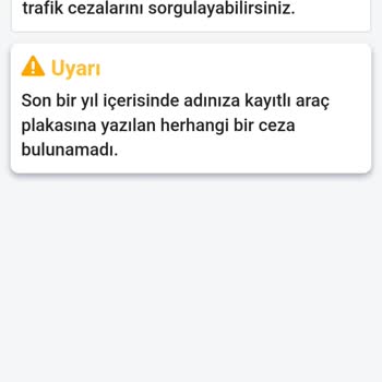 E-Devlet (Turkiye.gov.tr) Trafik Cezası Görünmüyor