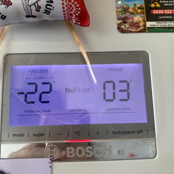 Bosch Ana Kart Sorunu