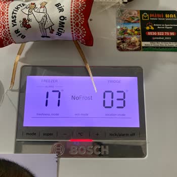 Bosch Ana Kart Sorunu