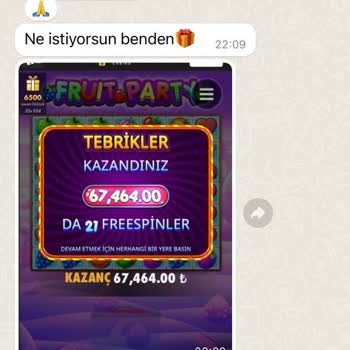 Betdog Yatırımımın Karşılığını Alamadım!