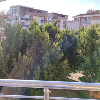 Konyaaltı Belediyesi'nin Ağaç Budama Yöntemine Dikkat!