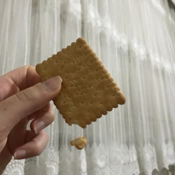 Gesaş Gıda Pötibör Bisküvinin İçinden Ne Olduğunu Anlayamadığım Bir Şey Çıktı