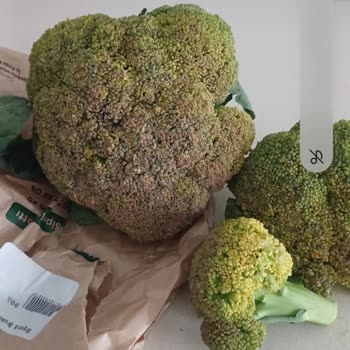 Datça Murat Çiftliği Bozuk Brokoli Yolladı