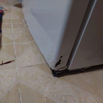 Vestel Den Çürümüşlük Kalitesizlik Akıyor