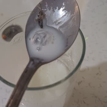 BİM Dost Marka Ayranın İçinden Böcek Çıktı