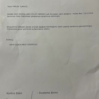 Bambi Markası Ve Harley Davidson Bot Pişmanlıktır.