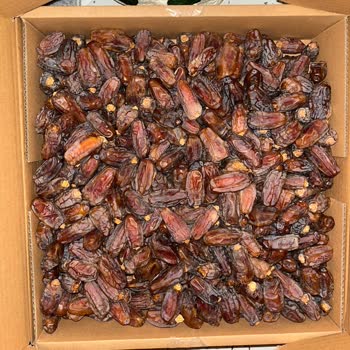 Hurma Kervanı Memnuniyetsizliği