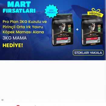 Petlebi Mağduriyeti Petlebi Pişmanlıktır