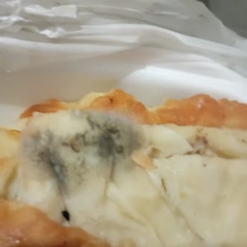 Perihan Abla Ev Yemekleri Su Böreği Küflüydü İşletme İse Kötü Bir Üslup Kullanıyor.