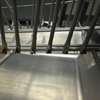 Samsung Bulaşık Makinesi Pas Sorunu