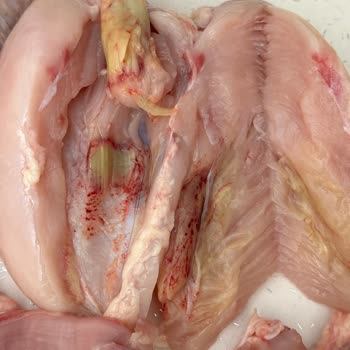 Şenpiliç Tavuk Renk Değiştirmiş Ve Yapış Yapış