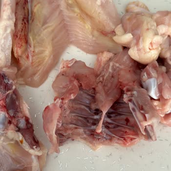 Şenpiliç Tavuk Renk Değiştirmiş Ve Yapış Yapış